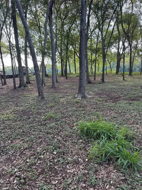 736 E Riverside Dr, Bastrop, TX 78602 photo 8