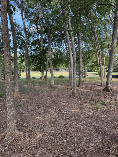 736 E Riverside Dr, Bastrop, TX 78602 photo 5