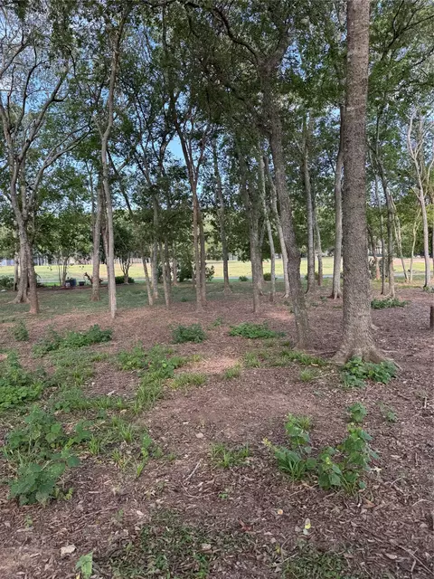 736 E Riverside Dr, Bastrop, TX 78602 photo 4