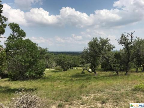 391 Fox Fire Rd, Blanco, TX 78606 photo 4