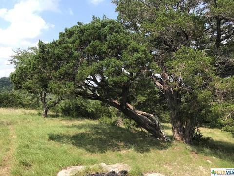 391 Fox Fire Rd, Blanco, TX 78606 photo 2