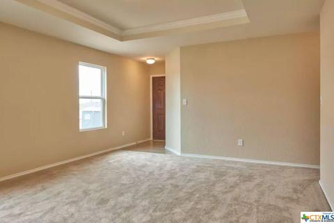 113 Ibis Falls Loop, Jarrell, TX 76537 photo 3