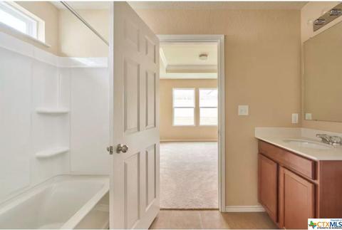 113 Ibis Falls Loop, Jarrell, TX 76537 photo 8