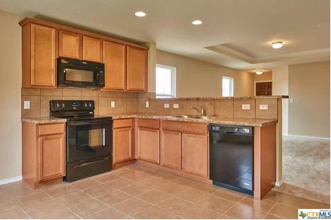 113 Ibis Falls Loop, Jarrell, TX 76537 photo 2