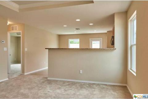 113 Ibis Falls Loop, Jarrell, TX 76537 photo 4