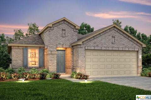 117 Ibis Falls Loop, Jarrell, TX 76537 photo 1