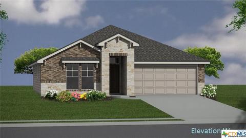 809 Ibis Falls Loop, Jarrell, TX 76537 photo 1