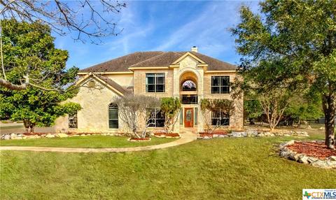 1399 Frontier, Spring Branch, TX 78070 photo 29