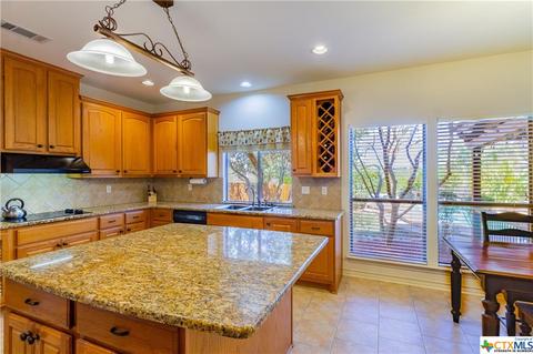 1399 Frontier, Spring Branch, TX 78070 photo 10