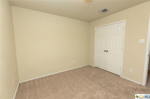 1114 Emerald Gate Dr, Temple, TX 76502 photo 13