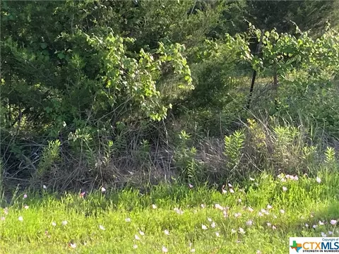 886 Garret Trail Rd, Maxwell, TX 78656 photo 7