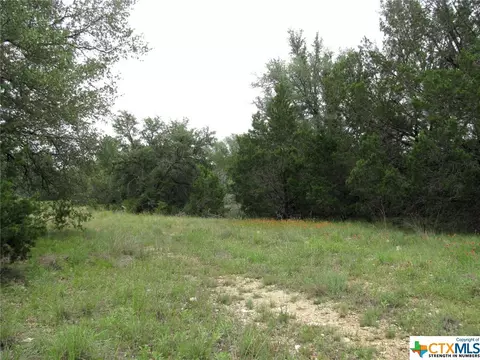 lot41 Phase 6 Pr42107, Evant, TX 76525