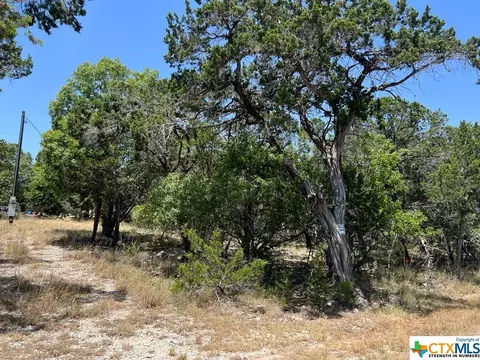 619 Cactus Flower, Canyon Lake, TX 78133