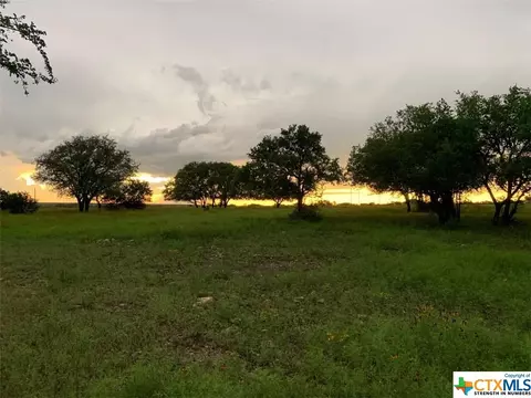 lot153 High Point Dr, Kempner, TX 76539