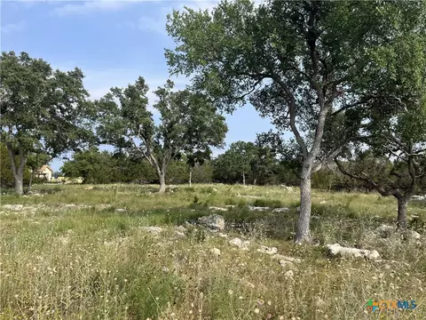 133 Macaw Ln, Spring Branch, TX 78070