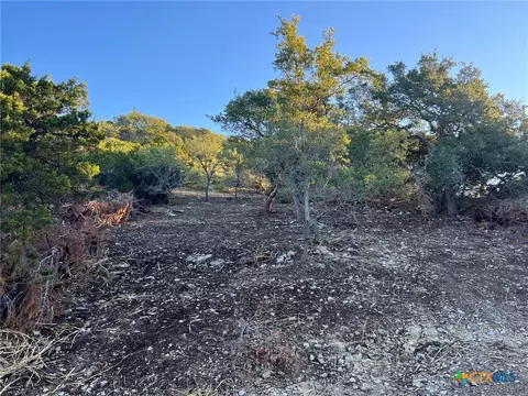 340 Ledgeview Dr, Canyon Lake, TX 78133