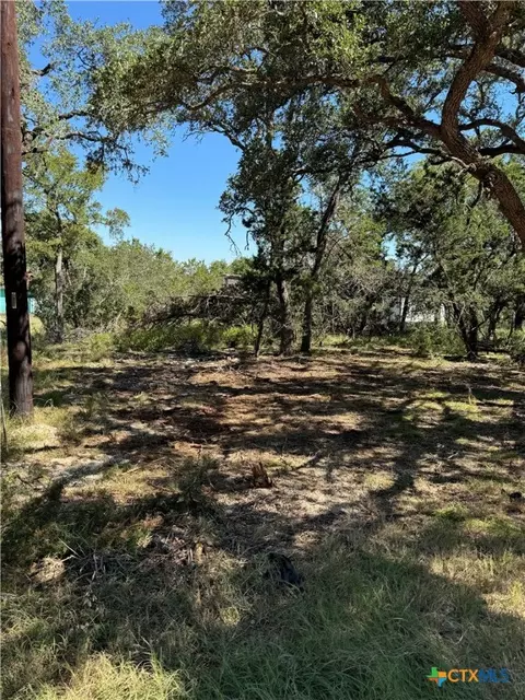 2869 Western Skies Dr, Spring Branch, TX 78070