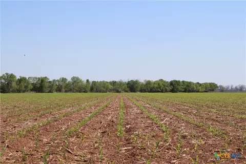 Tbd County Road 301, Marlin, TX 76661