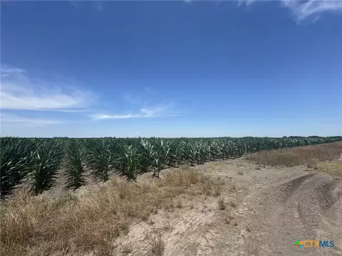 tbd Cr 335 Rd, Louise, TX 77455