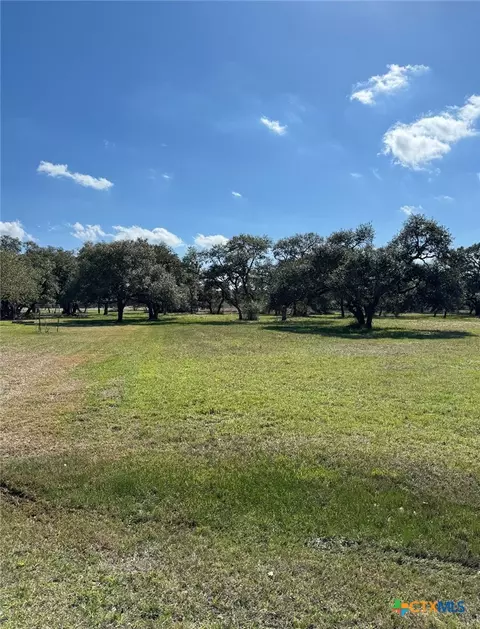 91 Post Oak Br, Inez, TX 77968 photo 6