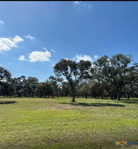 91 Post Oak Br, Inez, TX 77968 photo 7