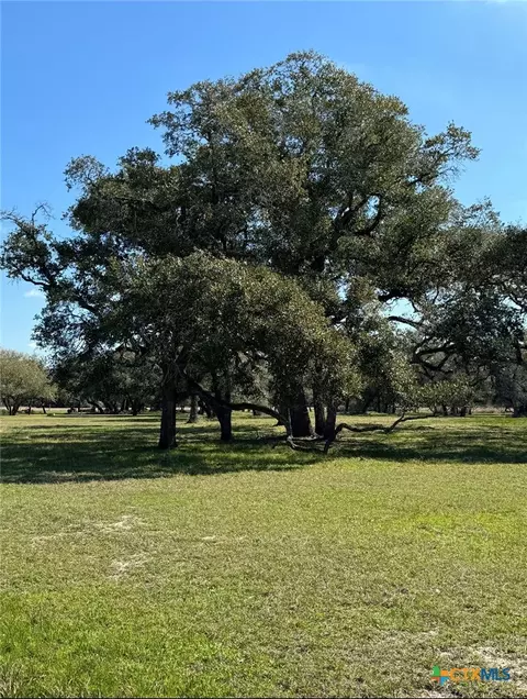 91 Post Oak Br, Inez, TX 77968 photo 5