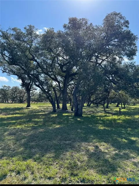 91 Post Oak Br, Inez, TX 77968 photo 2