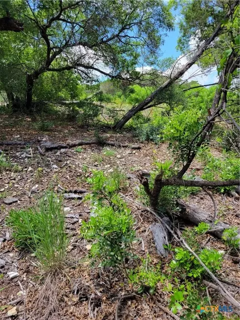 lot315 Private Road 1745, Mico, TX 78056