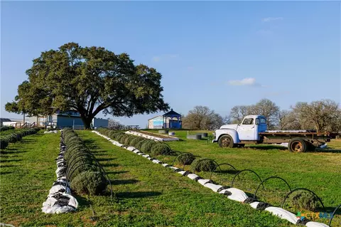 1080 Whisper Rd, Luling, TX 78648 photo 24