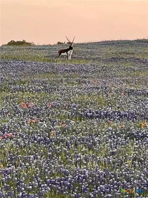 2265 County Road 106, Purmela, TX 76566