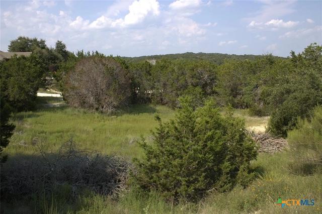 tbd William Travis, Fischer, TX 78623