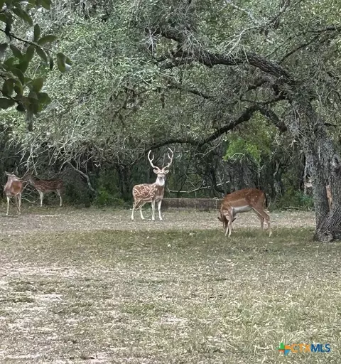 305 Cr 305, Beeville, TX 78102