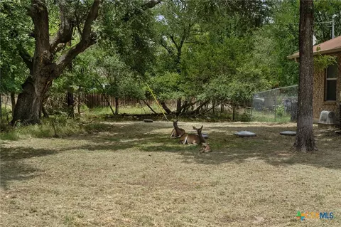 53 Buttercup Loop, Belton, TX 76513 photo 3