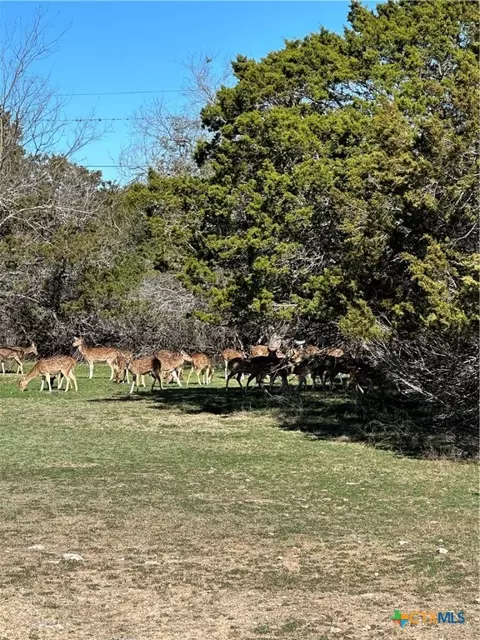 0 Deerwood Cir, Bandera, TX 78003