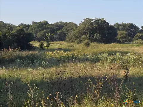 165 Guadalupe Dr, Oglesby, TX 76561