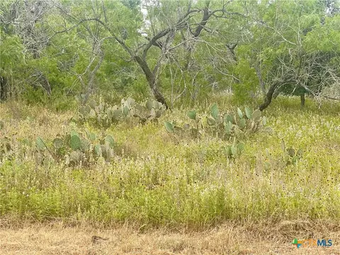 lot14 Wisteria Ln, Smiley, TX 78159