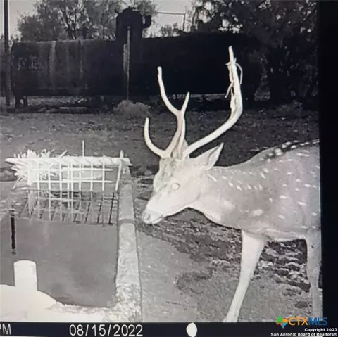 Other - 587 Valley Rd, Eldorado, TX 76936 photo 12 of 36