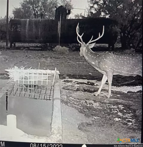 Other - 587 Valley Rd, Eldorado, TX 76936 photo 24 of 36