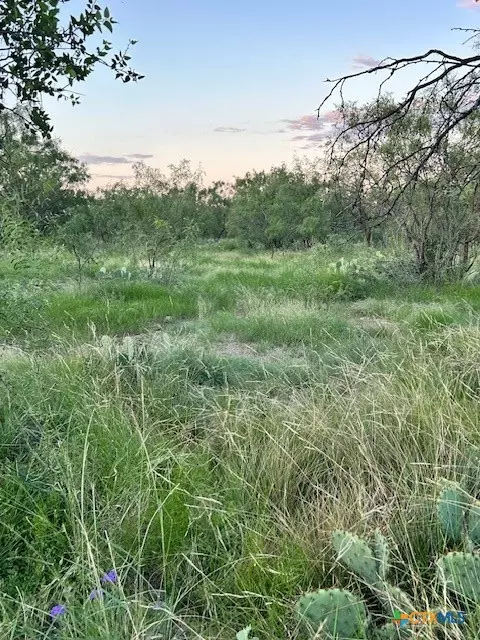 Other - 587 Valley Rd, Eldorado, TX 76936 photo 4 of 36