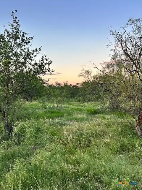 Other - 587 Valley Rd, Eldorado, TX 76936 photo 8 of 36