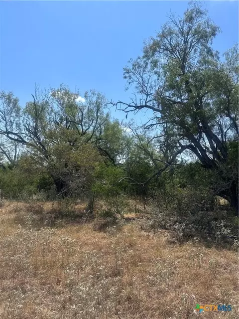 6032 County Road 405, Floresville, TX 78114