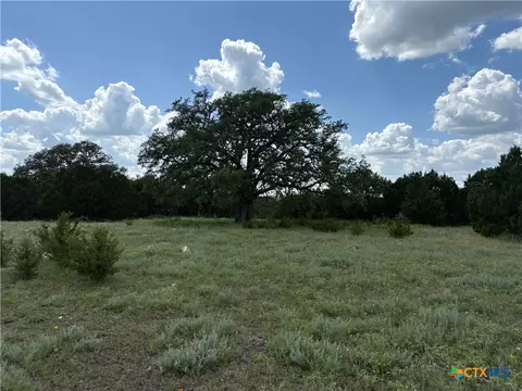 tbd Deer Run Ct, Evant, TX 76525