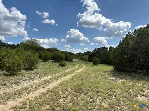 tbd Deer Run Ct, Evant, TX 76525 photo 5