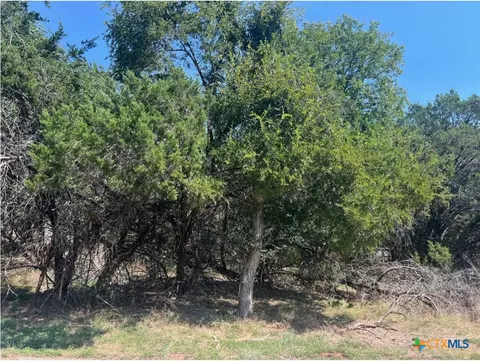 lot0010 Teakwood Loop, Morgans Point Resort, TX 76513