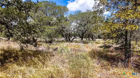 141 Oak Hill Rd, La Vernia, TX 78121