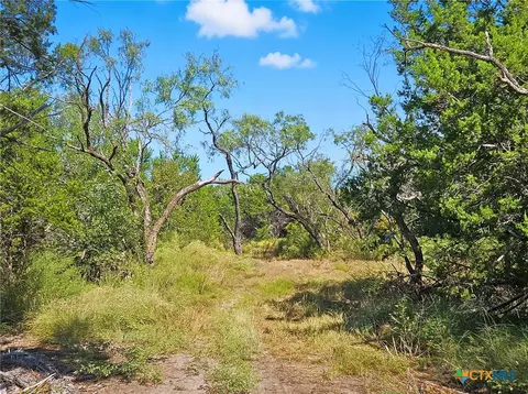 5698 County Road 102, Purmela, TX 76566