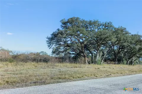 000 Savannah Ranch Road Blk 1 #LOT 12, Inez, TX 77968