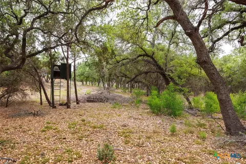 Exterior - 3487 Rust, Spring Branch, TX 78070 photo 5 of 13