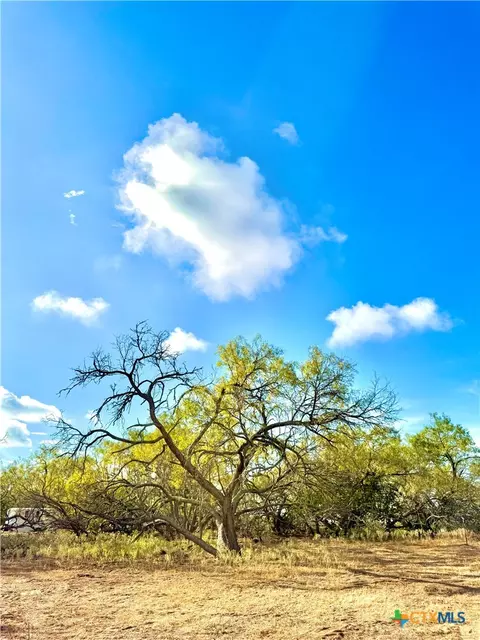 6052 Tenny Creek Rd, Luling, TX 78648