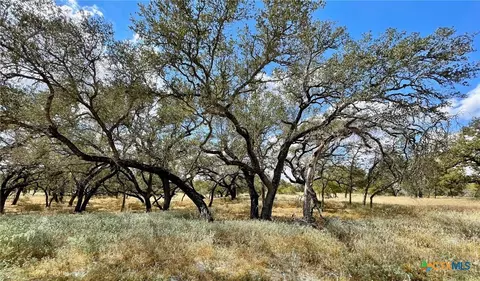 265 Firewheel Loop, Floresville, TX 78114